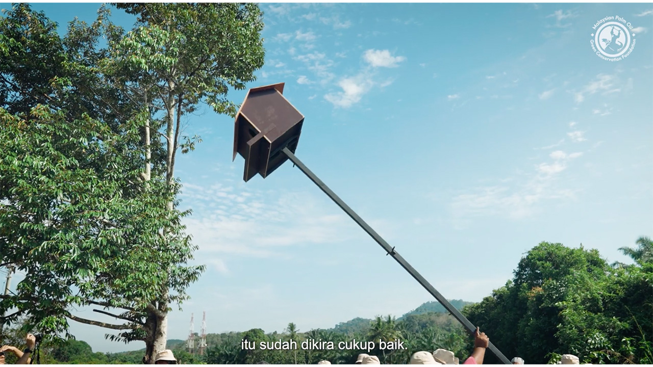 Documentary Barn Owl for Smallholders Initiative (BOSI)